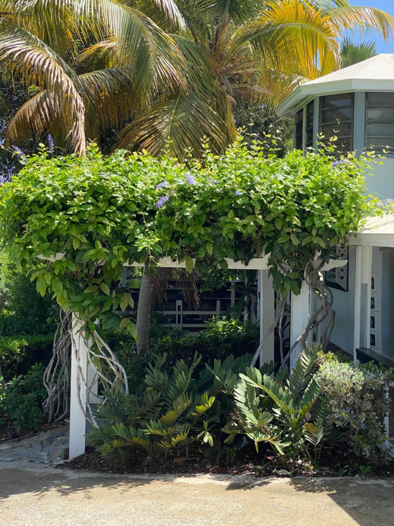 Club Seabourne Hotel Isla Culebra Екстер'єр фото